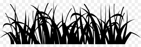 grasses,desktop wallpaper,commodity,computer,silhouette,blackandwhite,grass,tree,grass family,plant,monochrome photography,monochrome,line,branch,photography,plant stem,line art,png