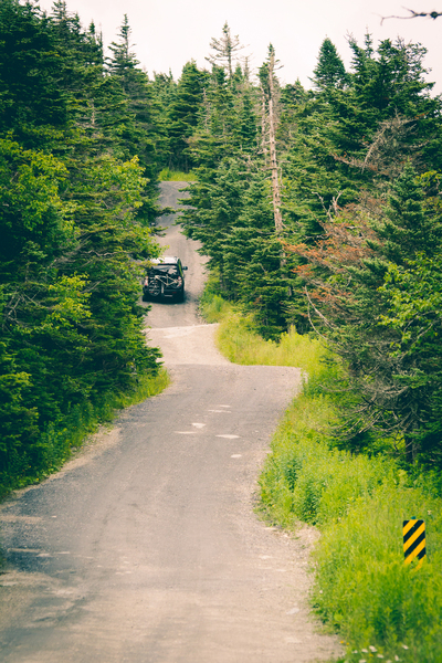 adventure,car,curves,forest,nature,path,road,roadtrip,trip,woods,Free Stock Photo