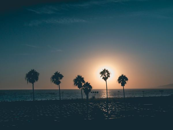 beach,green,sea,light,sunset,architecture,johncarlo,wallpaper,malibu,tree,sky,beach,palm tree,sun,silhouette,sunrise,sunset,coast,water,sea,ocean,public domain images