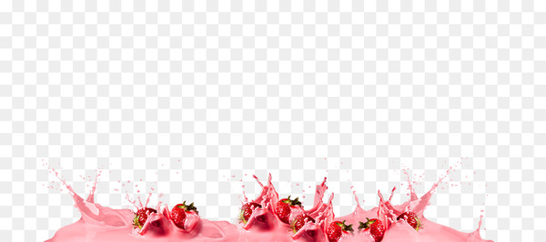 bubble tea,tea,popping boba,tapioca balls,juice,bubble tea company,south africa,rooibos,flavor,desktop wallpaper,infusion,health,computer,snack,red,flower,petal,computer wallpaper,png