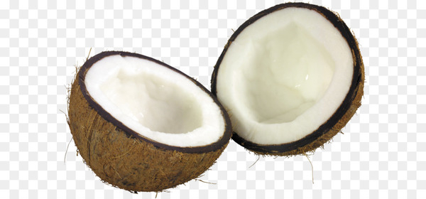 coconut milk,coconut water,coconut bar,coconut,coco,fruit,tropical fruit,tropics,vecteur,png