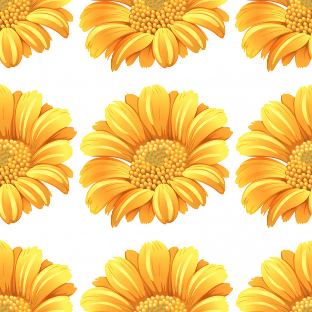 repeats,arrangment,tiled,repeating,wrapping,isolated,repeat,theme,daisy,seamless,picture,sunflower,white,paper,design,floral,flower,pattern
