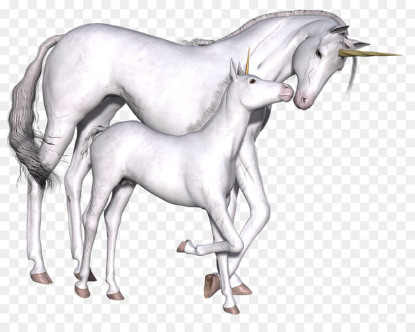 unicorn,fairy tale,imaginary,myth,game,sticker,fairy,pegasus,legend,mother,map,horse,pony,neck,pack animal,joint,horse like mammal,horn,mustang horse,fictional character,tail,mane,mythical creature,muscle,organism,drawing,livestock,png
