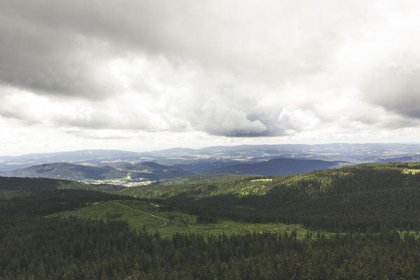trees,scenic,mountains,mountain range,landscape,idyllic,hills,forest,cloudy