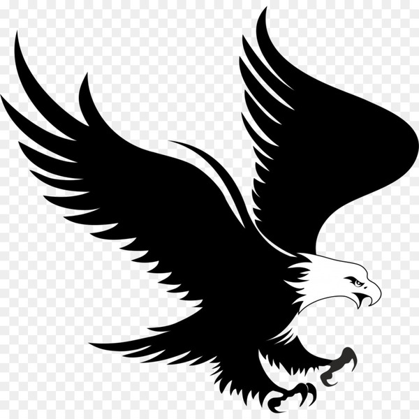bald eagle,eagle,logo,golden eagle,royaltyfree,download,graphic designer,illustrator,neck,bird,bird of prey,tail,beak,feather,wing,black and white,png