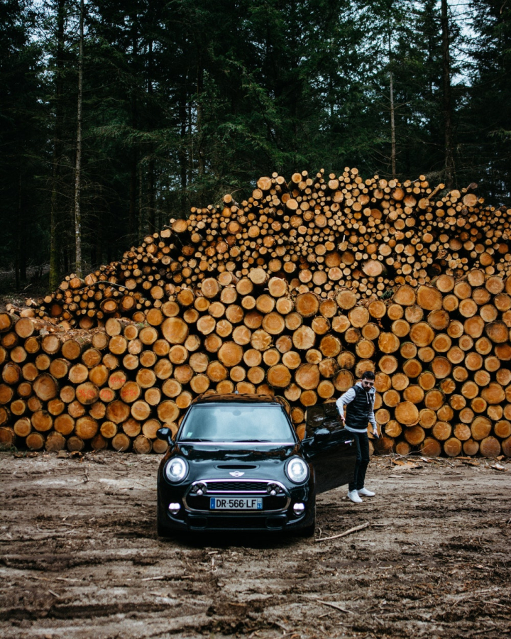 automobile,automotive,car,conifers,dirt road,fir trees,forest,front,guy,logs,lumber,male,man,mini cooper,opened,outdoors,parked,person,pile,pine trees,stacked wood,timber,transportation system,tree log,tree trunks,trees,vehicle,woodpile,woods