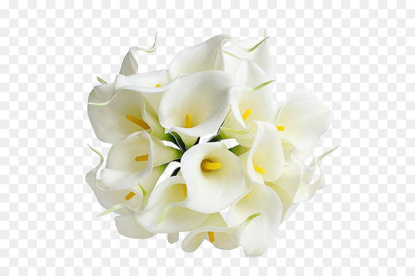 arumlily,flower bouquet,wedding,bride,flower,lilium,artificial flower,callalily,party,nosegay,cut flowers,gift,bridesmaid,calla lily,calas,plant,petal,yellow,floral design,moth orchid,flower arranging,white,floristry,flowering plant,png