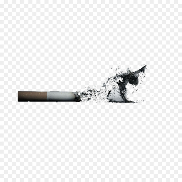 cigarette,ashtray,death,designer,white,black and white,concepteur,vecteur,gratis,square,black,line,png