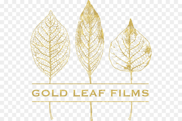 leaf,gold leaf,gold,guard cell,metal leaf,foil,maple leaf,film,plant,tree,commodity,png