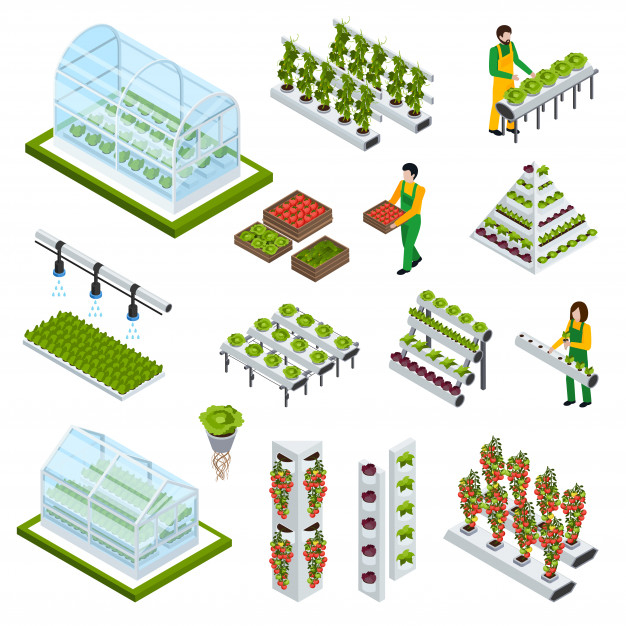 aeroponics,hydroponics,yield,compact,fertilizer,greenhouse,vitamins,selling,growing,equipment,set,seeds,collection,harvest,control,profit,farming,special,products,soil,country,uniform,symbol,decorative,emblem,plants,healthy,agriculture,elements,natural,market,organic,worker,eco,isometric,vegetables,leaves,icons,fruit,money,water,flowers,people,food