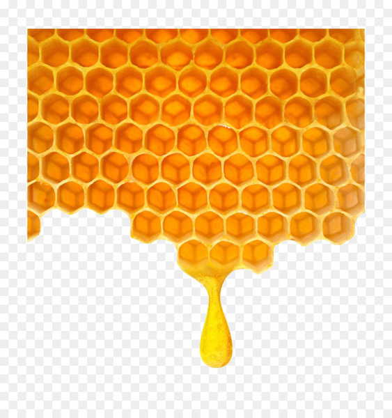 bee,honey,honeycomb,stock photography,photography,beehive,polygon,shutterstock,vecteur,yellow,orange,membrane winged insect,png