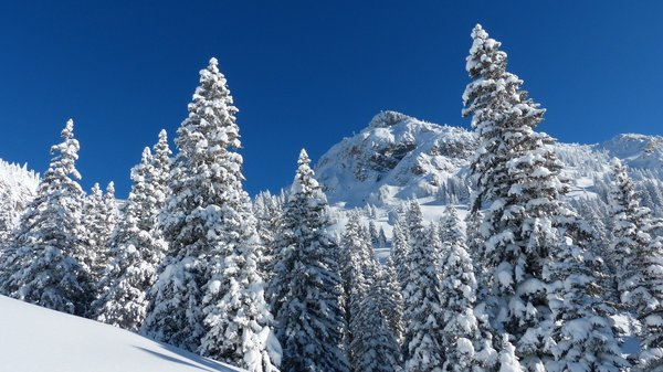 mountain,sky,trees,winter