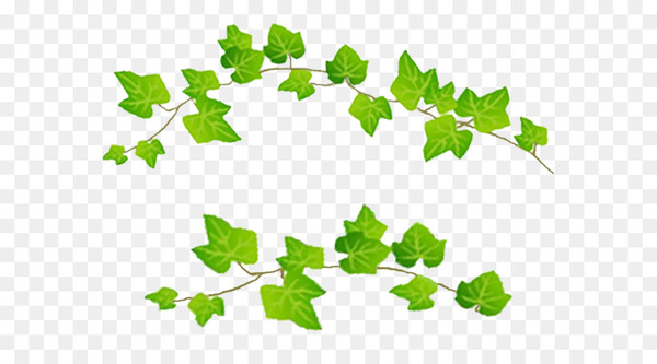 naver blog,leaf,plant stem,blog,naver,plants,line,calendar,ivy,branch,tree,plant,ivy family,grass,png