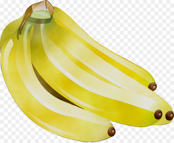 banana,cooking banana,saba banana,plantain,vegetable,fruit,frozen banana,food,bananas,red banana,cavendish banana,cooking,banana industry,latundan banana,banana family,yellow,cooking plantain,plant,vegetarian food,png