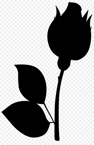 plant stem,flower,leaf,plants,rose,cotton,flowering plant,silhouette,cotton balls,knitting,funeral,blackandwhite,botany,plant,tulip,monochrome photography,png