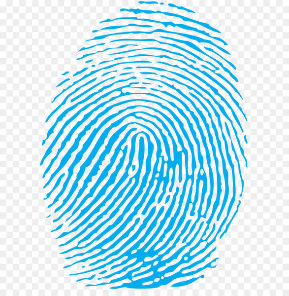 fingerprint,green,biometrics,color,royaltyfree,computer icons,cmyk color model,orange,depositphotos,symmetry,area,pattern,point,spiral,sphere,circle,font,line,black and white,png