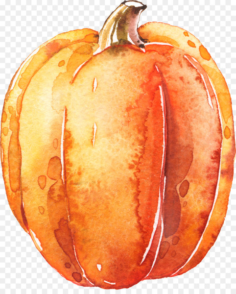 pumpkin,calabaza,transparent watercolor,halloween,watercolor painting,vegetable,winter squash,cucurbita,drawing,transparency and translucency,food,symbol,peel,commodity,fruit,vegetarian food,orange,png