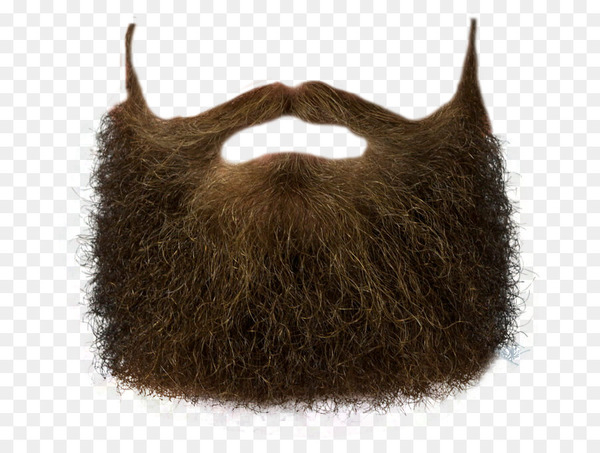 world beard and moustache championships,beard,computer icons,moustache,neckbeard,download,man,snout,product,fur,facial hair,hair,png