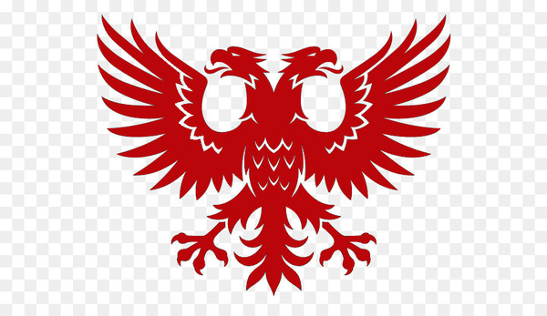 doubleheaded eagle,eagle,byzantine empire,symbol,aquila,bald eagle,coat of arms,flag of albania,golden eagle,owl,flower,visual arts,vertebrate,wing,bird of prey,fictional character,black and white,beak,bird,red,png