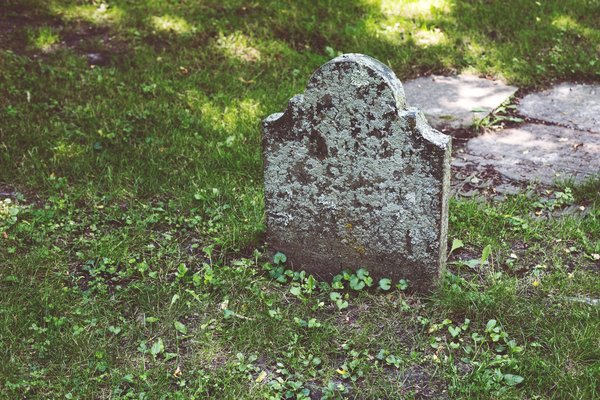  moss,grave,headstone, tombstone