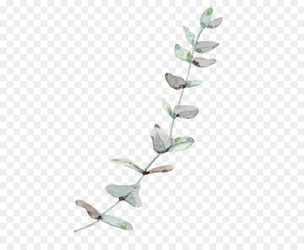 gum trees,leaf,arecaceae,tree,vine,branch,rattan,wind,vecteur,petal,design,pattern,angle,line,twig,png