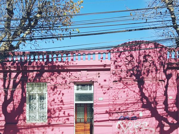 pink,flower,bloom,kw,house,window,blue,pink,beach,pink,background,wall,residence,residential,house,facade,shadow,tree shadow