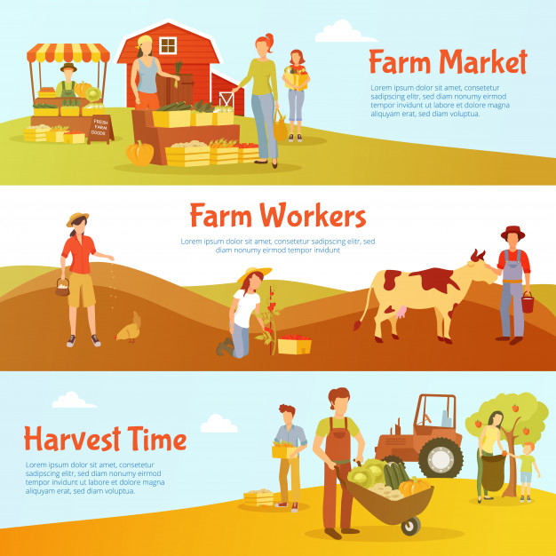 cultivate,gather,feeding,farmhouse,crops,buying,hay,horizontal,cattle,equipment,commercial,set,collection,harvest,hen,grow,banner template,time line,business banner,flat background,business background,tractor,fresh,element,bookmark,field,quality,design elements,background design,decorative,banner design,flat design,vegetable,product,farmer,market,organic,worker,flat,cow,time,banner background,layout,fruit,farm,banners,sticker,nature,line,template,design,tree,sale,business,food,banner,background