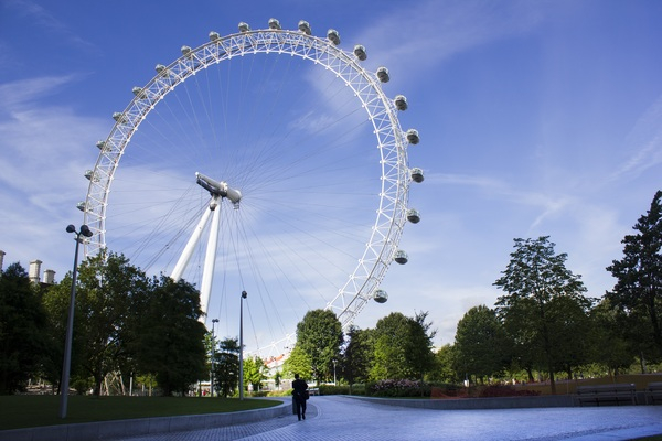 trees,perspective,park,london eye,ferris wheel