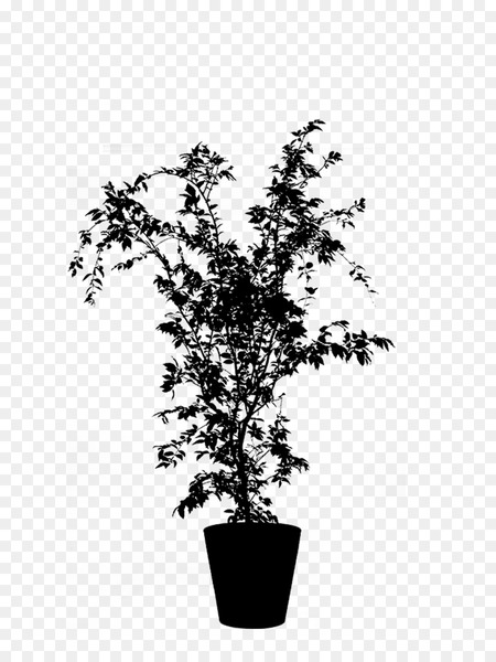 flowerpot,houseplant,flowering plant,plants,tree,plant,flower,branch,woody plant,leaf,twig,shrub,blackandwhite,mock orange,png