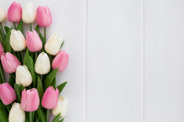 copyspace,charming,bunch,springtime,feelings,delicate,florist,copy,chic,tulips,blank,thank,right,mothers,white flower,lovely,day,gardening,beautiful,background white,tulip,background pink,bouquet,love background,wooden,background green,symbol,background flower,pastel,plant,easter,wood background,backgrounds,white,mother,garden,wood texture,white background,celebration,spring,space,background pattern,anniversary,pink,nature,green,gift,wood,texture,love,flowers,card,floral,birthday,mockup,wedding,flower,pattern,background