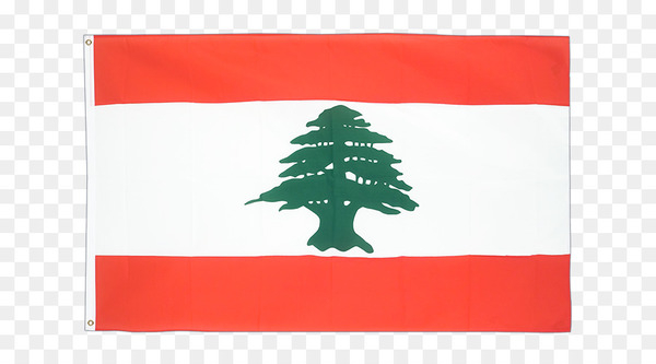 lebanon,flag of lebanon,flag,national flag,coat of arms of lebanon,flags of asia,flag of jordan,flag of kuwait,flag of iraq,flags of the world,banner,flag of turkey,flag of palestine,flag of brazil,green,png