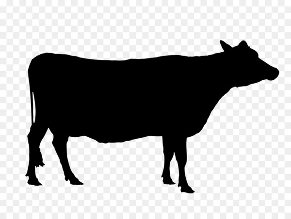 angus cattle,texas longhorn,holstein friesian cattle,calf,beef cattle,sticker,farm,silhouette,beef,dairy cattle,dairy,livestock,cattle,bovine,bull,cowgoat family,dairy cow,terrestrial animal,snout,ox,png