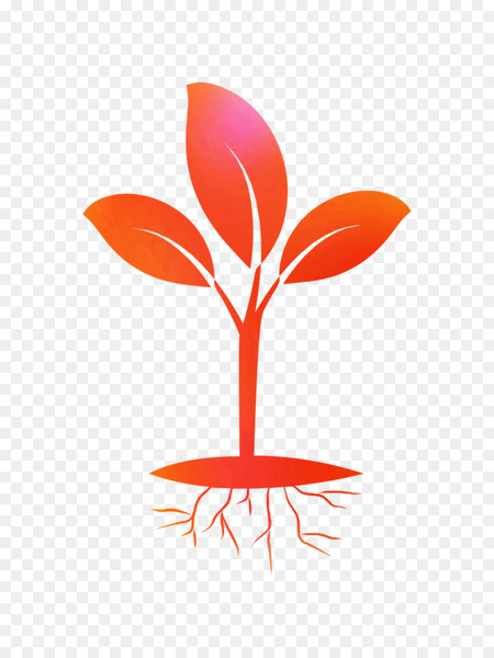 seedling,root,computer icons,plants,seed,leaf,sprouting,seed plants,orange,red,botany,plant,logo,flower,plant stem,png