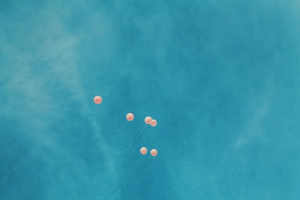 flower,blue,plant,stocksite,forest,green,blue,sea,wave,balloon,sky,blue,cloud,pink,contrast,float,fly,little thing,darling,delight,display,free stock photos
