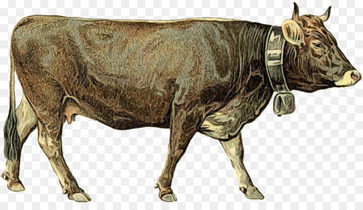 dairy cattle,cattle,ox,goat,bull,taurine cattle,water buffalo,livestock,milk,bovini,dairy,horn,mammal,bovine,cowgoat family,terrestrial animal,animal figure,png