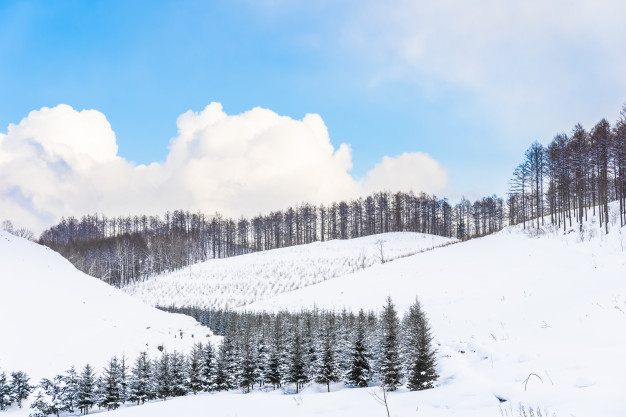 sapporo,hokkaido,panoramic,season,day,beautiful,outdoor,cold,natural,ice,white,landscape,japan,forest,beauty,sky,road,mountain,nature,travel,snow,winter,car,tree,christmas