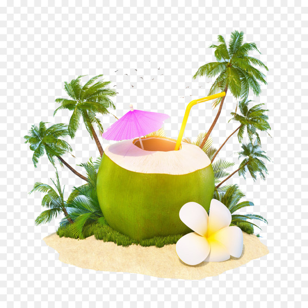 cocktail,juice,coconut water,coconut milk,coconut,drink,arecaceae,food,travel,nut,cocktail umbrella,water,plant,fruit,diet food,vegetable,png