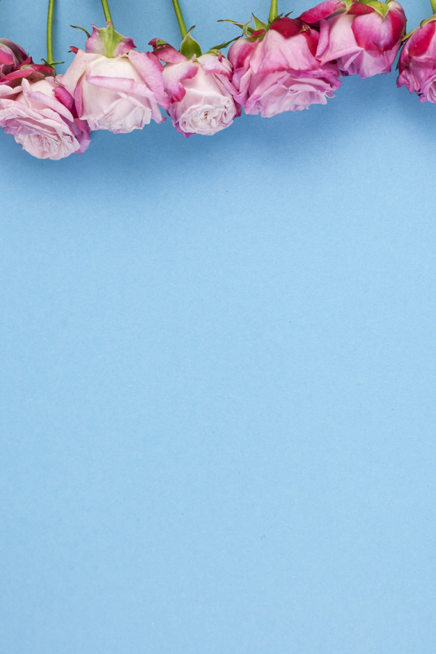 pink and blue flowers background