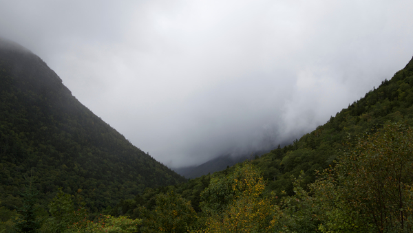 trees,scenic,nature,mountains,fog,clouds