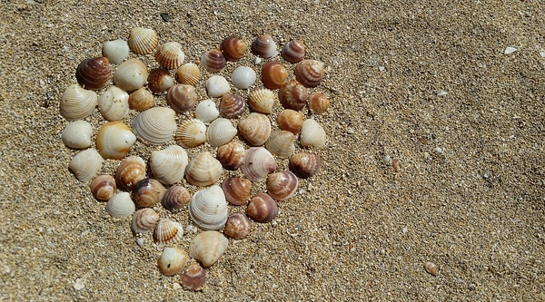 beach,heart,love,sand,sea shells,seashore,shore,Free Stock Photo