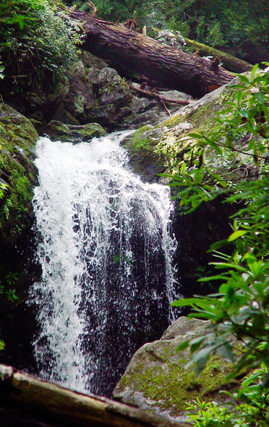 water,waterfall,stream,creek,river,rock,rocks,boulder,boulders,appalachian,mountain,gatlinburg,tennessee,forest,tree