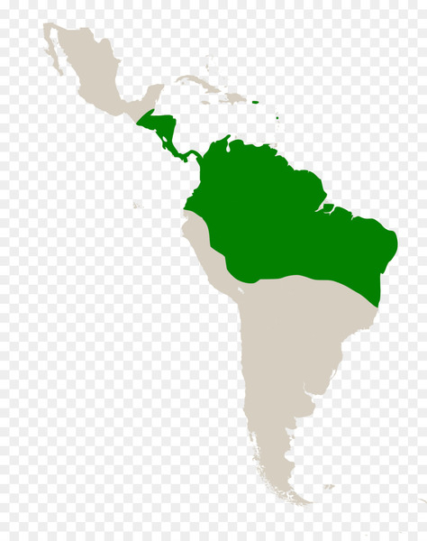 caribbean,latin america,caribbean south america,middle america,geography,region,subregion,united nations geoscheme,map,north america,south america,americas,green,leaf,hand,tree,silhouette,grass,png