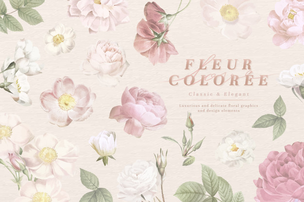 musk,musk rose,coloree,compilation,pale,dusty,bloom,florals,pretty,fleur,feminine,girly,drawn,season,beautiful,blossom,botanical,word,romantic,marriage,open,decorative,pastel,plant,elegant,leaves,spring,hand drawn,rose,retro,pink,nature,hand,card,floral,vintage,wedding,flower