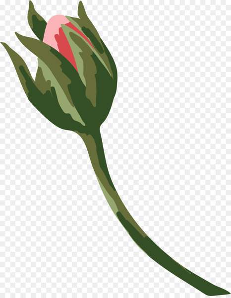 watercolor painting,tulip,painting,rgb color model,image resolution,flower,cartoon,computer icons,color,plant,flowering plant,leaf,flora,plant stem,petal,png