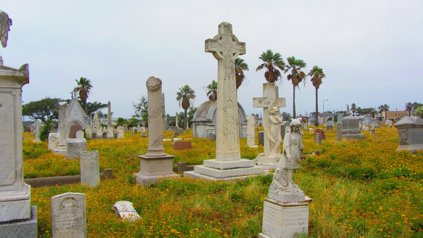 cc0,c1,cemetery,grave,image,cross,tombstone,faith,church,free photos,royalty free