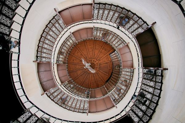 stair,tunnel,architecture,stream,architecture,old,rectangle,abstract,architecture,architecture,staircase,stairwell,step,eagle,stair,stairway,spiral,looking up,form,shell,ceiling,free images