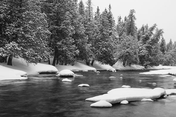 river,water,snow,cold,winter,trees,forest,woods,outdoors,nature,black and white