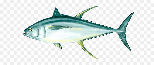 Free: Tuna fish sandwich Bigeye tuna Yellowfin tuna Albacore - fish 
