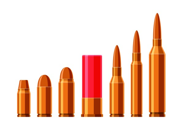 Cartridge case and bullet from weapon Royalty Free Vector