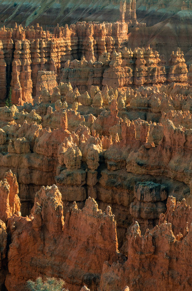 canyon,desert,erosion,formation,landscape,mountain,outdoors,park,rock,sand,scenic,southwest,uth-2187,utah,wilderness,bryce,bryce canyon,cliff,geological,geology,hoodoos,national,natural,nature